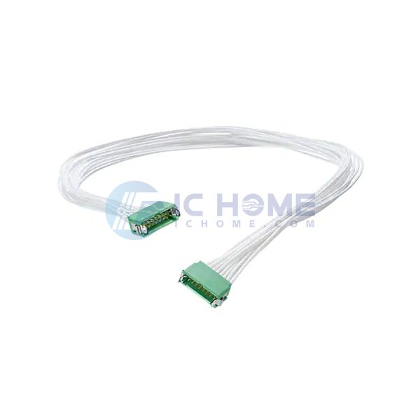 G125-MC21005L4-0300M