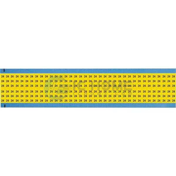 WM-24-YL-SC-PK