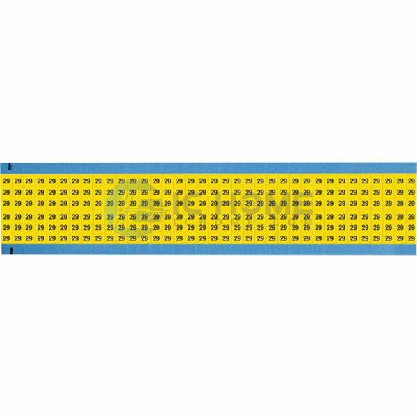 WM-29-YL-SC-PK