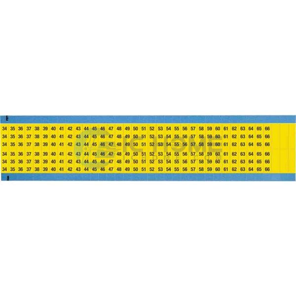 WM-34-66-YL-SC-PK