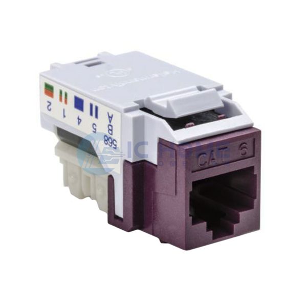 RJ45FC6-VIO