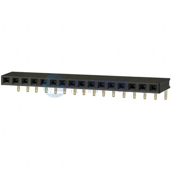 PPPC161LGBN