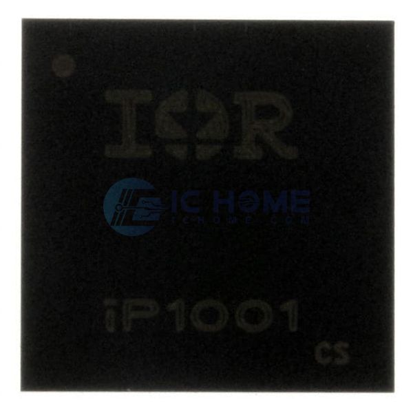 IP1001