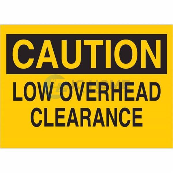 42441