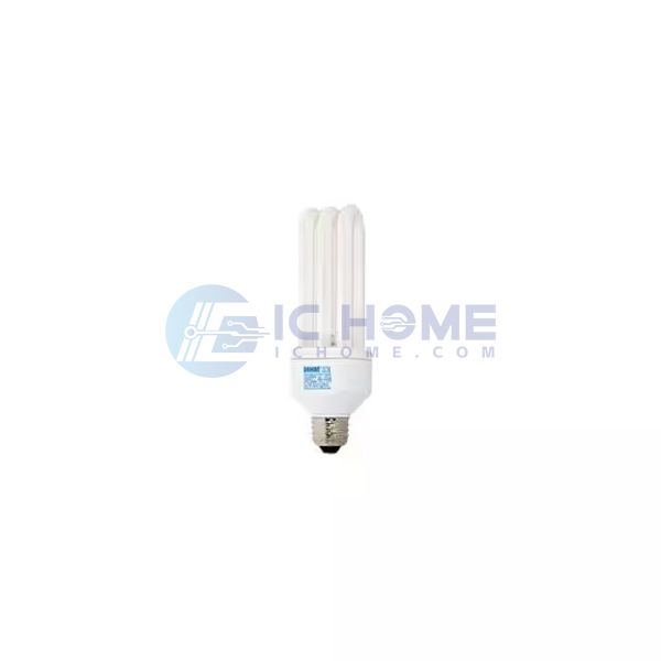 WW-D543-1