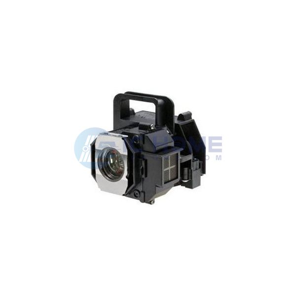 WW-QUQC-2