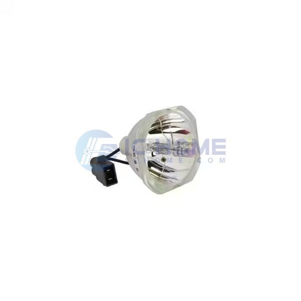 WW-ZDUZ-2