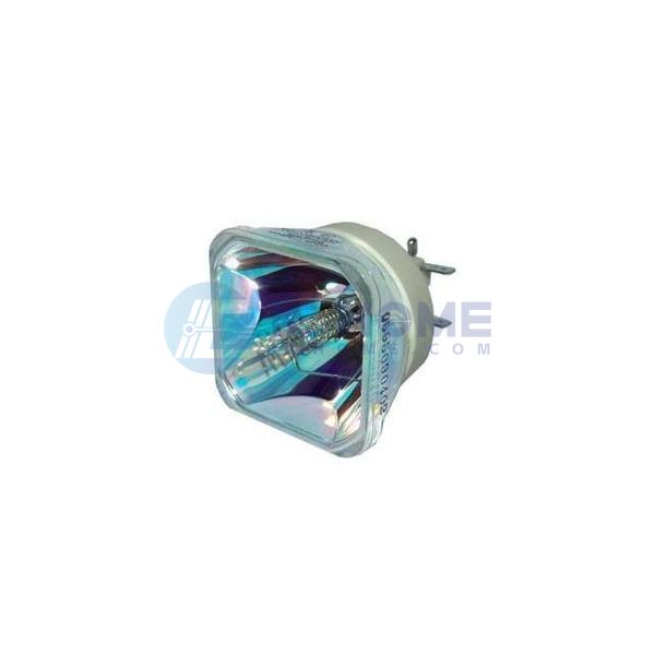 WW-QSQ6-2