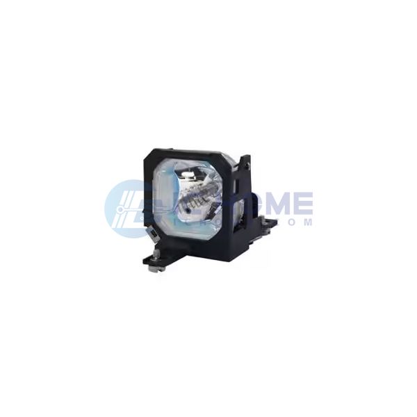 WW-503W-5