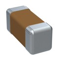 0201X221M160CT