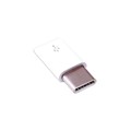 RPI USB adapter White