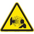 FIS4019-BJFA8